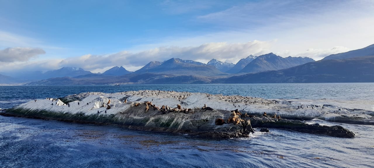 Patagonia Soñada