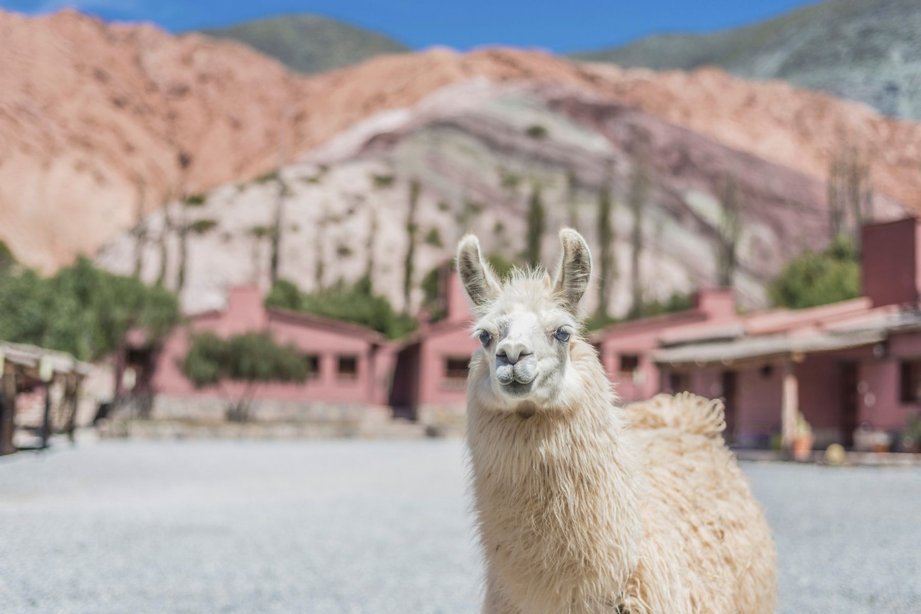 Peru y Bolivia