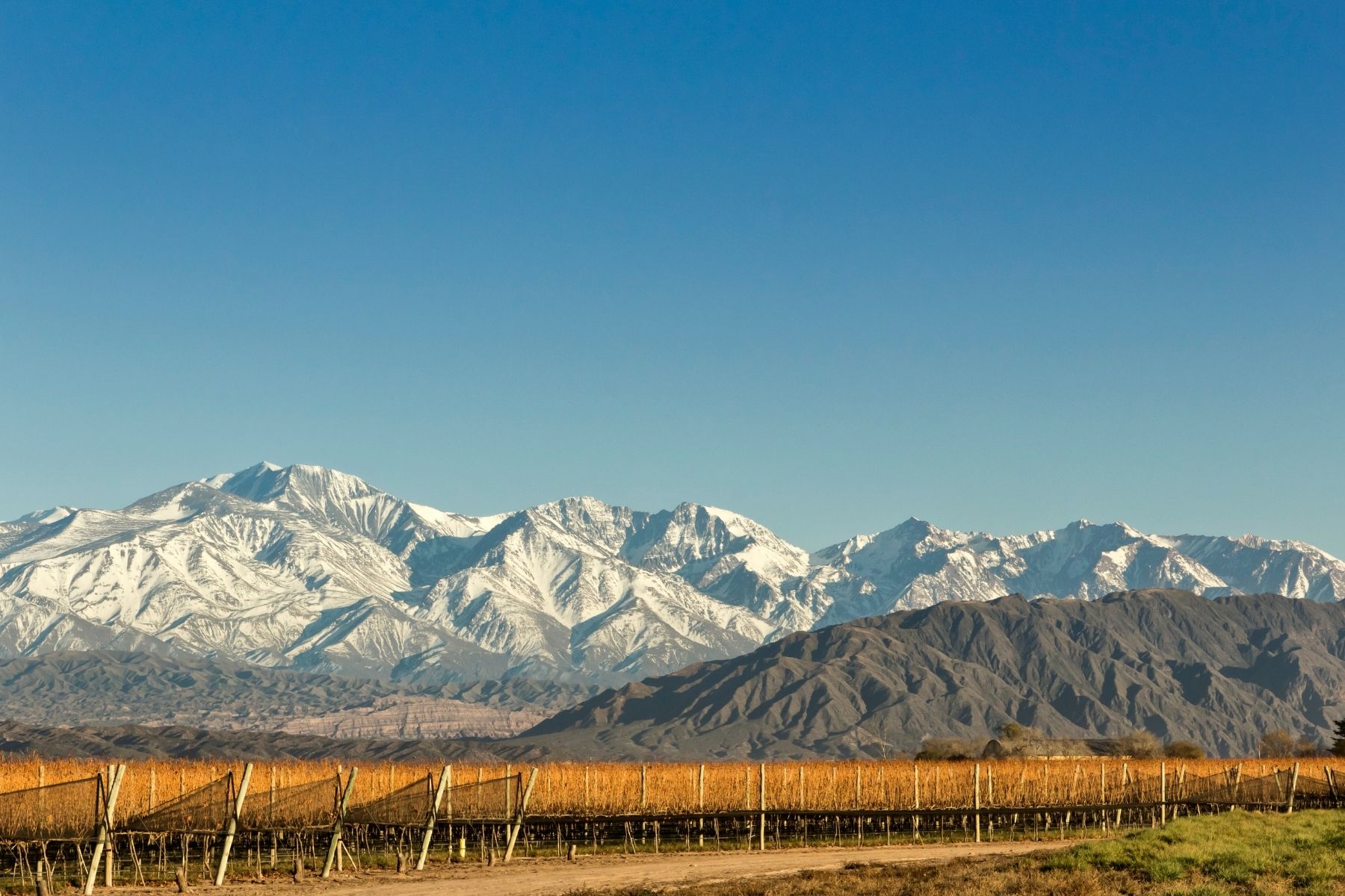 Mendoza Aéreo