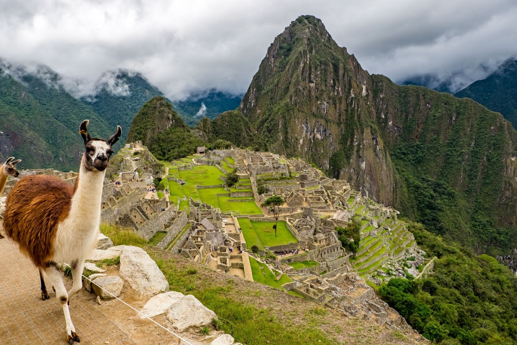 Perú Aéreo