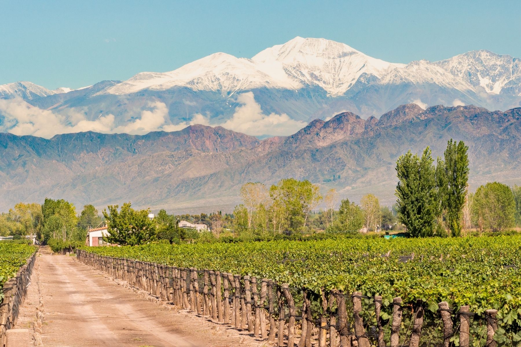 Mendoza Aéreo