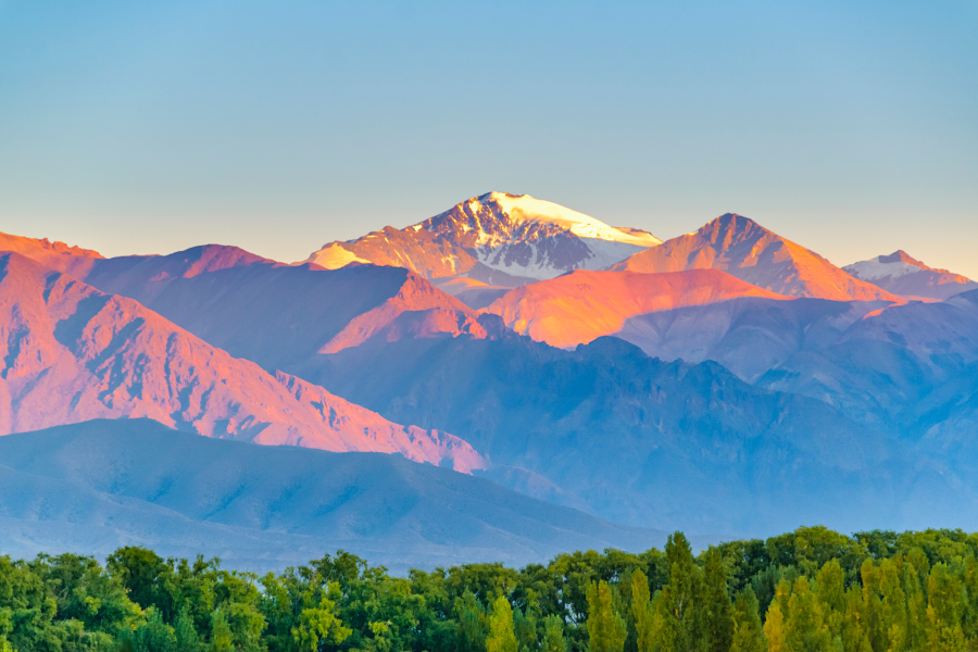 Mendoza Total